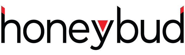 platform creators entertainment Influencer marketing Agency Celebrity Marketing Agency Influencer marketing Mumbai
